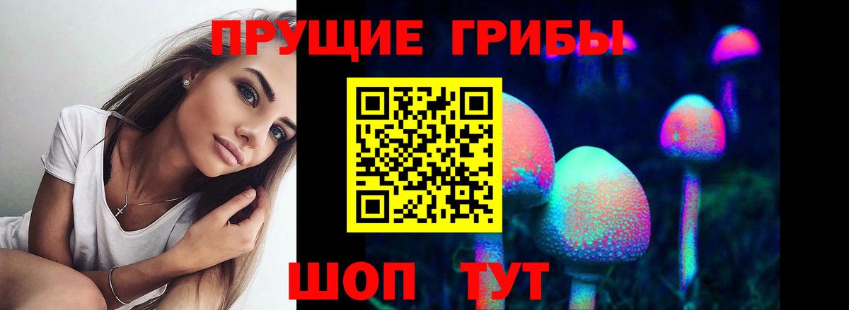 Псилоцибиновые грибы MAGIC MUSHROOMS  Вход с VPN  Родники 